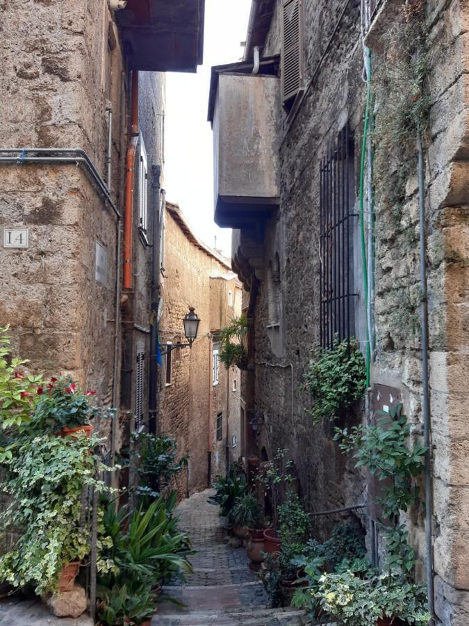 Historical Domus Apartment Anagni Bagian luar foto