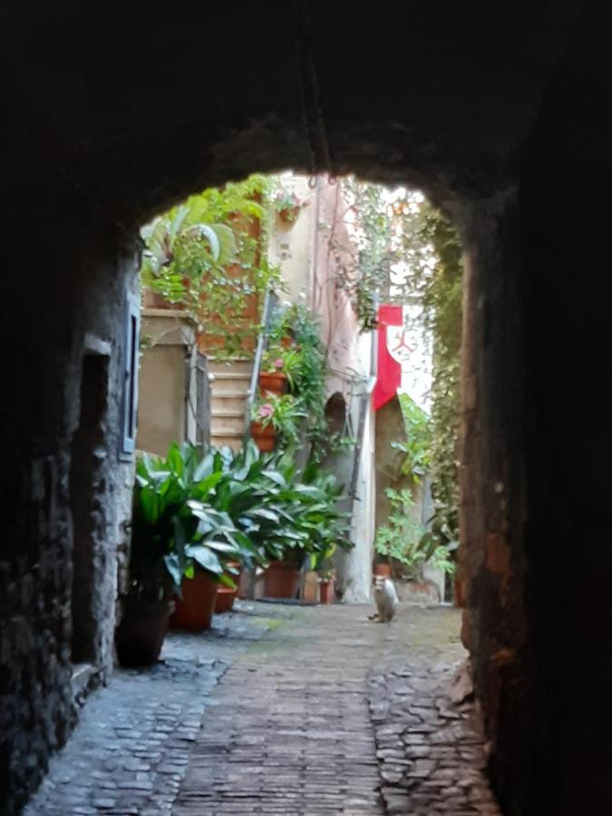 Historical Domus Apartment Anagni Bagian luar foto