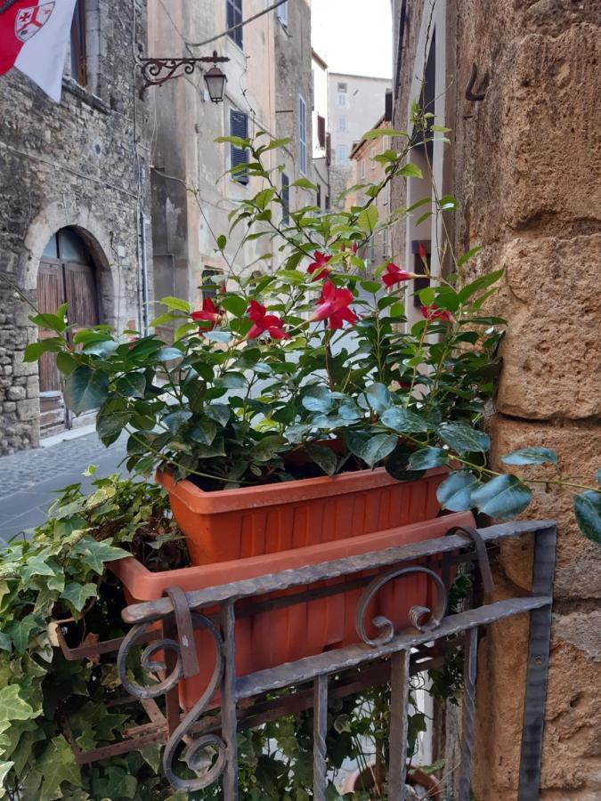 Historical Domus Apartment Anagni Bagian luar foto