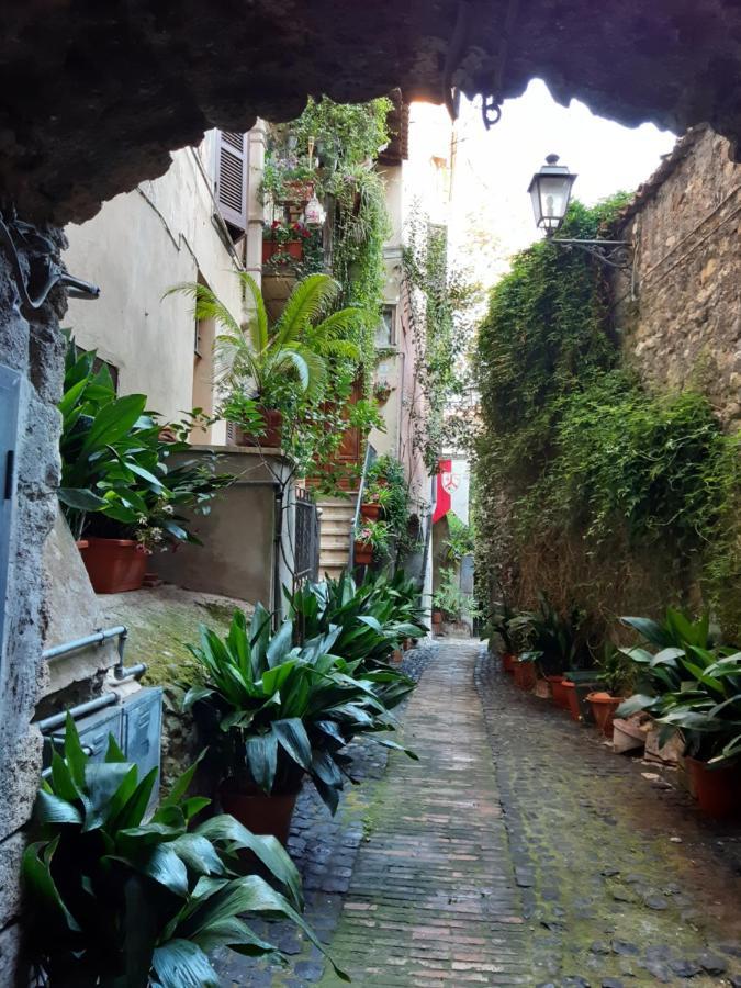 Historical Domus Apartment Anagni Bagian luar foto